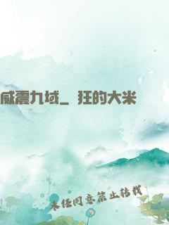 威震九域