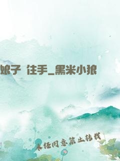 娘子請住手