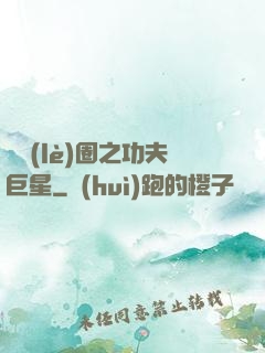 娛樂(lè)圈之功夫巨星