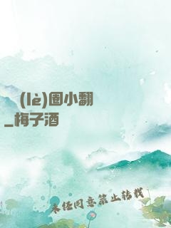 娛樂(lè)圈小翻譯