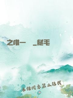 娛樂之唯一傳說