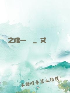 娛樂之唯一傳說