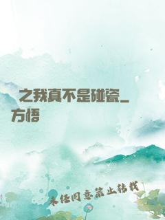 娛樂之我真不是碰瓷