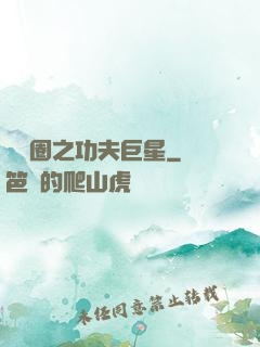 娛樂圈之功夫巨星
