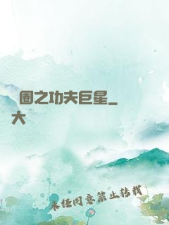 娛樂圈之功夫巨星