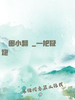 娛樂圈小翻譯