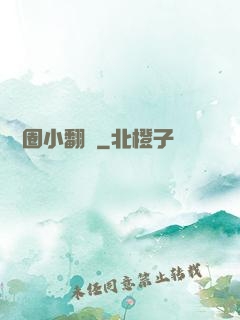 娛樂圈小翻譯