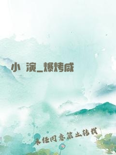 娛樂小導演