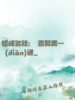 婚成名就：歡喜娶妻一點(diǎn)通