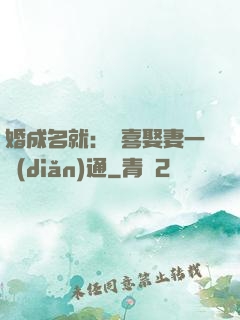 婚成名就：歡喜娶妻一點(diǎn)通