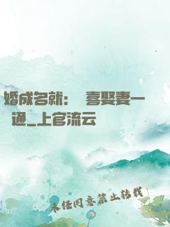 婚成名就：歡喜娶妻一點通