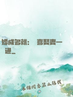 婚成名就：歡喜娶妻一點通