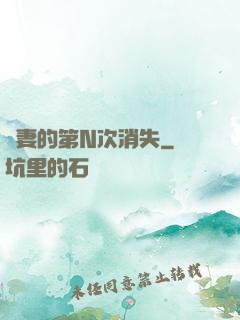 嬌妻的第N次消失
