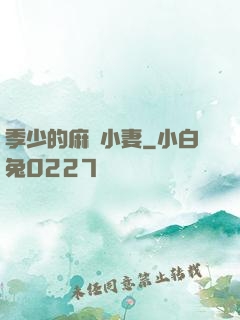 季少的麻煩小妻