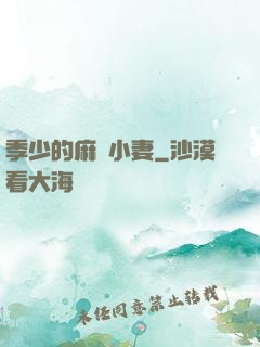 季少的麻煩小妻