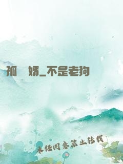 孤島禍婿