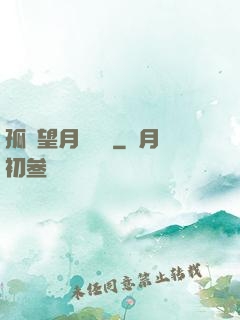 孤樓望月幾時圓