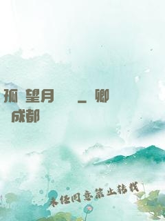 孤樓望月幾時圓