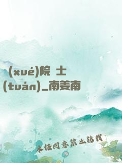 學(xué)院騎士團(tuán)