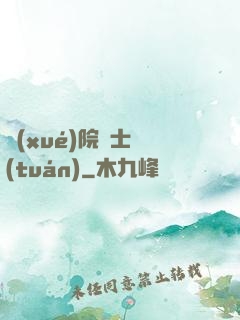 學(xué)院騎士團(tuán)
