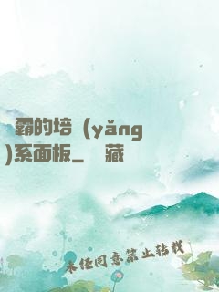 學霸的培養(yǎng)系面板