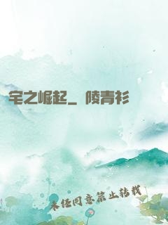 宅之崛起