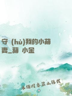 守護(hù)我的小萌妻