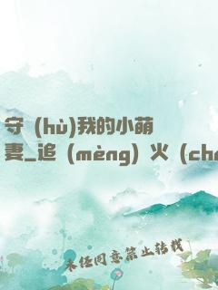 守護(hù)我的小萌妻