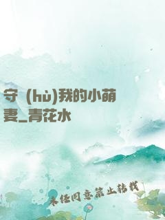 守護(hù)我的小萌妻