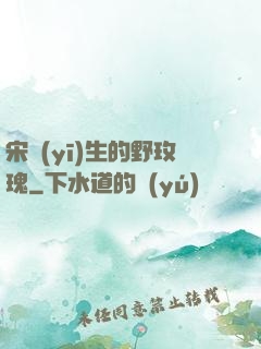 宋醫(yī)生的野玫瑰