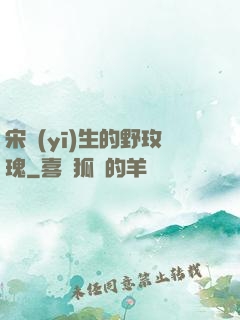 宋醫(yī)生的野玫瑰