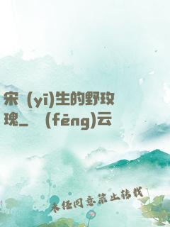 宋醫(yī)生的野玫瑰