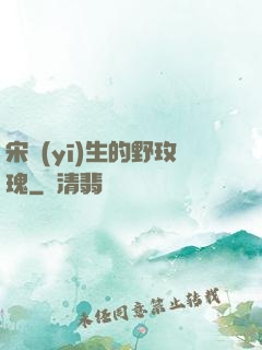 宋醫(yī)生的野玫瑰