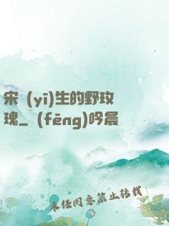 宋醫(yī)生的野玫瑰