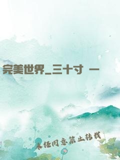 完美世界