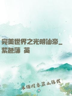 完美世界之光明仙帝