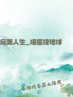 完美人生