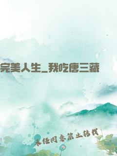 完美人生