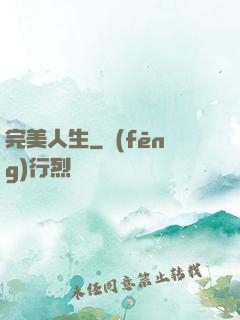 完美人生