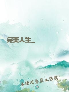 完美人生