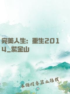 完美人生：重生2014