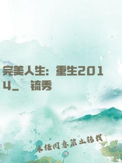 完美人生：重生2014