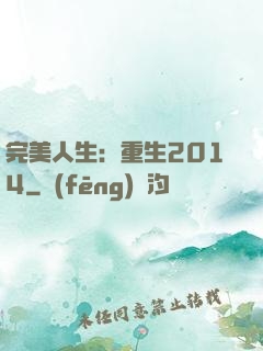 完美人生：重生2014