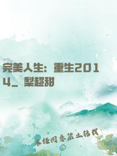 完美人生：重生2014