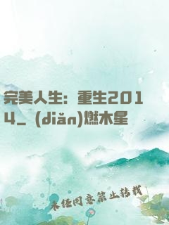 完美人生：重生2014