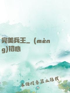完美兵王