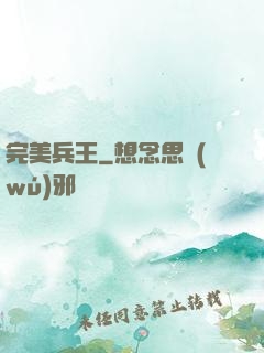 完美兵王