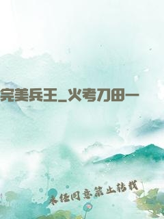 完美兵王