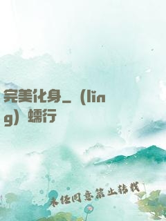 完美化身