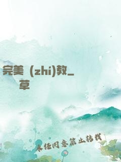 完美執(zhí)教